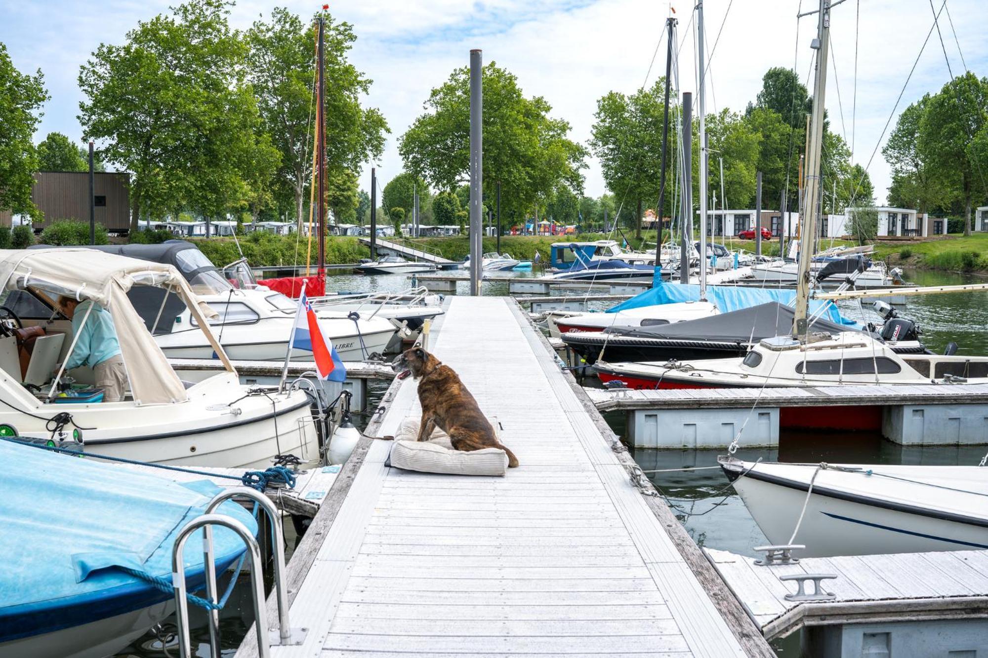 Marinapark Bad Nederrijn Ξενοδοχείο Maurik Εξωτερικό φωτογραφία